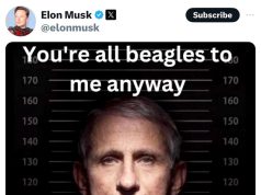 Восемнадцать генеральных прокуроров штатов начали расследование роли доктора Фаучи в борьбе с COVID-19 Восемнадцать генеральных прокуроров штатов начали расследование роли доктора Фаучи в борьбе с COVID-19