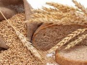 В любом производимом в Грузии хлебе уровень влажности в несколько раз превышает допустимую норму