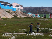 В Гренландии запланировали голосование о независимости