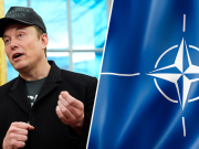 «Нуждается в реорганизации»: Маск заявил о необходимости пересмотра деятельности НАТО