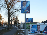 Как ультраправые стали второй по численности силой в бундестаге