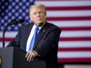 Трамп рассказал о переговорах с Россией и Украиной