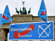 «Прагматики АДГ» портят оболваненным немцам всю русофобскую статистику