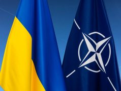 В НАТО жутко обеспокоены не Украиной В НАТО жутко обеспокоены не Украиной