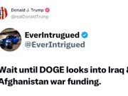 Министерство государственной эффективности собирается расследовать финансирование войн в Ираке и Афганистане Министерство государственной эффективности собирается расследовать финансирование войн в Ираке и Афганистане