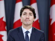 Трюдо прибежал к ноге хозяина Трюдо прибежал к ноге хозяина