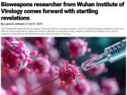 Китайский учёный заявил, что перед ним стояла задача определить наиболее эффективный штамм коронавируса Китайский учёный заявил, что перед ним стояла задача определить наиболее эффективный штамм коронавируса