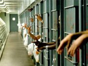 Франция бьет рекорды по загруженности тюрем Франция бьет рекорды по загруженности тюрем