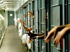 Франция бьет рекорды по загруженности тюрем Франция бьет рекорды по загруженности тюрем