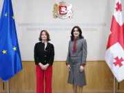 Посол США в Грузии нарушила молчание