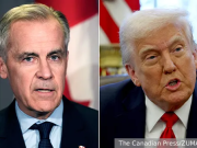 Канада укусила Трампа в самое больное место