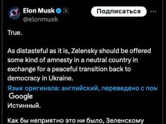 Илон Маск призвал Владимира Зеленского уйти из власти Илон Маск призвал Владимира Зеленского уйти из власти