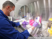 Нас не любят в Киеве и Брюсселе, и вот вам результат – ящур