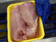 Оппозиционеры собирались сказать: «Русские хотели нас отравить», — но затем выяснилось, что зараженное сальмонеллой мясо было ввезено в Грузию из Германии, из страны Михаэля Рота, после чего они не проронили ни слова