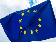 В стадии радикальных трансформаций В стадии радикальных трансформаций