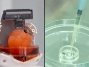 Ученые вырастили из стволовых клеток человека мини-мозг и подключили его к цифровому чипу. Видео Ученые вырастили из стволовых клеток человека мини-мозг и подключили его к цифровому чипу. Видео