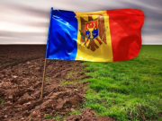 «Земляная жаба»: по команде Брюсселя Санду готовит черный передел молдавских угодий