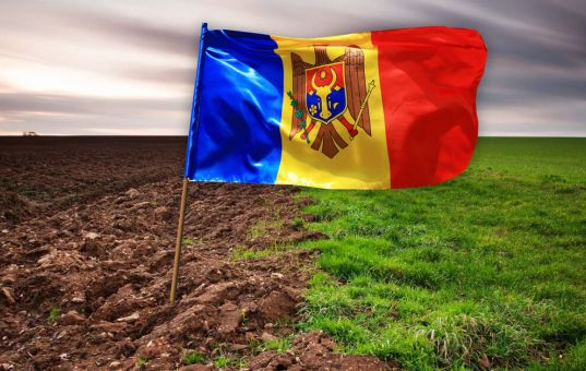 «Земляная жаба»: по команде Брюсселя Санду готовит черный передел молдавских угодий