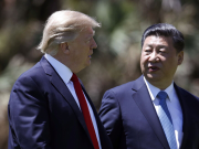 Трамп и Си Цзиньпин могут провести телефонный разговор на этой неделе