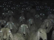 ГОРЬКО, НО КАК ЕСТЬ