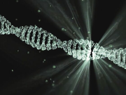 Кембриджские ученые приступили к работе по созданию искусственной ДНК человека