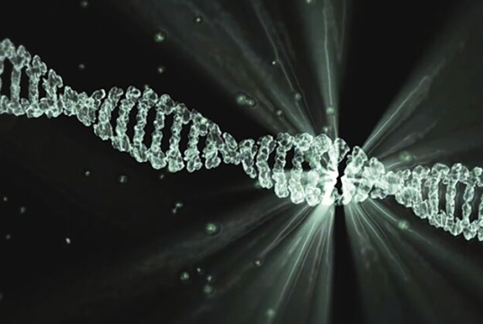 Кембриджские ученые приступили к работе по созданию искусственной ДНК человека