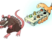 Крысы с пультами