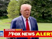 Трамп РАСКРИТАЛ Гэвина Ньюсома Трамп РАСКРИТАЛ Гэвина Ньюсома