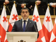 Акция и экстремизм: глава парламента Грузии критикует роль Евросоюза