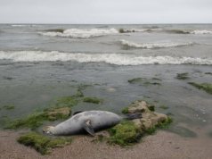 Уровень Каспийского моря опустился ниже рекордной отметки