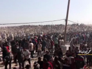 СМИ: израильские солдаты признались в преднамеренном убийстве безоружных палестинцев, которые находились в центрах раздачи еды и гуманитарной помощи