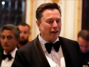 Маск призвал страны ЕС к выходу из сообщества