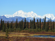 Перед саммитом 15 августа Бессент представит Трампу «экономические компромиссы», которые США могут предложить России