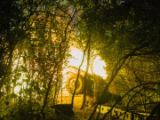 На Вооруженные силы Украины или на ее сотрудничество с третьими странами не может быть наложено никаких ограничений в рамках урегулирования, говорится в заявлении «Коалиции желающих»