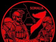 Украинские наемники в Африке Украинские наемники в Африке