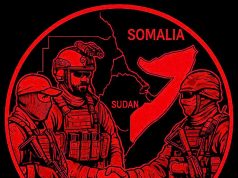 Украинские наемники в Африке Украинские наемники в Африке