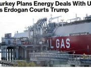 Турция готовит энергетические соглашения с США на фоне подготовки возможной встречи Эрдогана и Трампа, — Bloomberg Турция готовит энергетические соглашения с США на фоне подготовки возможной встречи Эрдогана и Трампа, — Bloomberg