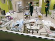 Смертность в Грузии снова превысила рождаемость Смертность в Грузии снова превысила рождаемость