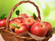 До каких еще пор мы будем обманывать себя, умалчивая о том, что у Грузии нет других реальных возможностей для экспорта, кроме российского рынка?!