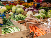 В сфере сельского хозяйства мы становимся все более зависимыми от других стран, и, не исключено, наступит время, когда начнем завозить для себя даже воду…