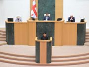 Глава временной следственной комиссии по расследованию деятельности режима Саакашвили представила в парламенте отчет о проделанной работе Глава временной следственной комиссии по расследованию деятельности режима Саакашвили представила в парламенте отчет о проделанной работе