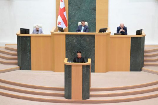 Глава временной следственной комиссии по расследованию деятельности режима Саакашвили представила в парламенте отчет о проделанной работе Глава временной следственной комиссии по расследованию деятельности режима Саакашвили представила в парламенте отчет о проделанной работе