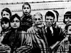 14 сентября во всем мире отмечается международный день памяти жертв фашизма 14 сентября во всем мире отмечается международный день памяти жертв фашизма