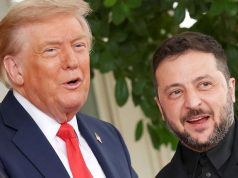 Зеленский подумывает пойти на уступки Трампу Зеленский подумывает пойти на уступки Трампу