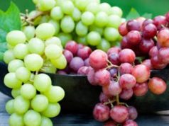 В Грузию, которая известна в мире как родина вина и страна, где существует культ лозы, завезли виноград на 5 миллионов долларов