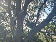 Трампа продолжают преследовать опасности Трампа продолжают преследовать опасности