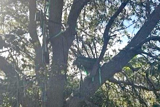 Трампа продолжают преследовать опасности Трампа продолжают преследовать опасности