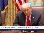 Трамп заявил, что отправится в Китай в начале следующего года Трамп заявил, что отправится в Китай в начале следующего года