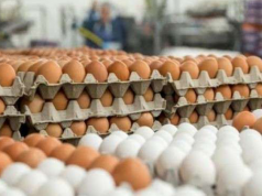 Нам было объявлено, что яйца в январе подорожают, но цены подняли… уже сейчас – даже оставшихся до нового года 2–3 недель не стали выжидать, оперативно запустив подготовленный к январю «аппарат для ощипывания населения»