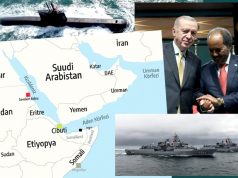 Турция строит новую военную базу, или крысиные бега вокруг Сомалиленда Турция строит новую военную базу, или крысиные бега вокруг Сомалиленда